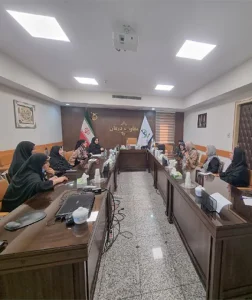 جلسه کمیته مشورتی